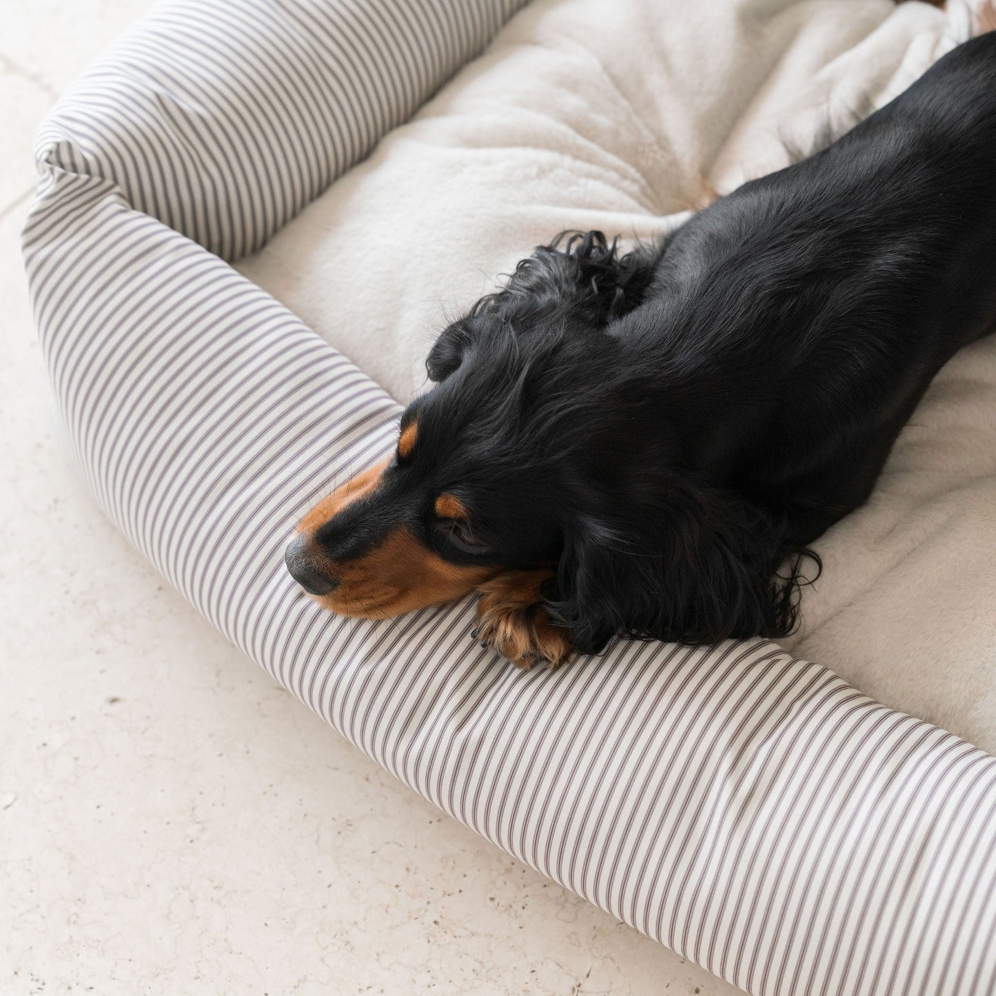 Box Bed For Dogs in Regency Stripe by Lords & Labradors