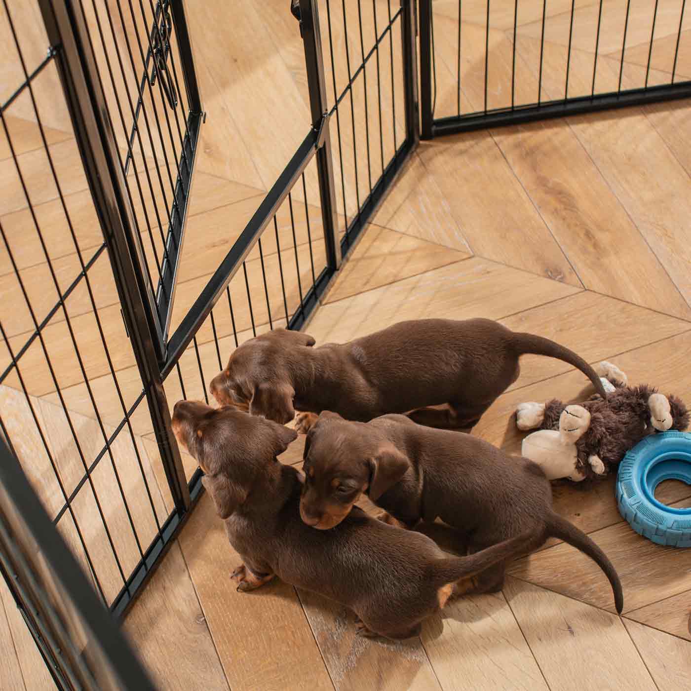 Ensure The Ultimate Puppy Safety with Our Heavy Duty 80cm High Black Metal Play Pen, Crafted to Take Your Pet Right Through Maturity! Powder Coated to Be Extra Hardwearing! 6 panels that are 80cm high and attachments to connect to any crate. The modular system allows you to change the puppy pen shape with multiple layouts! Available To Now at Lords & Labradors