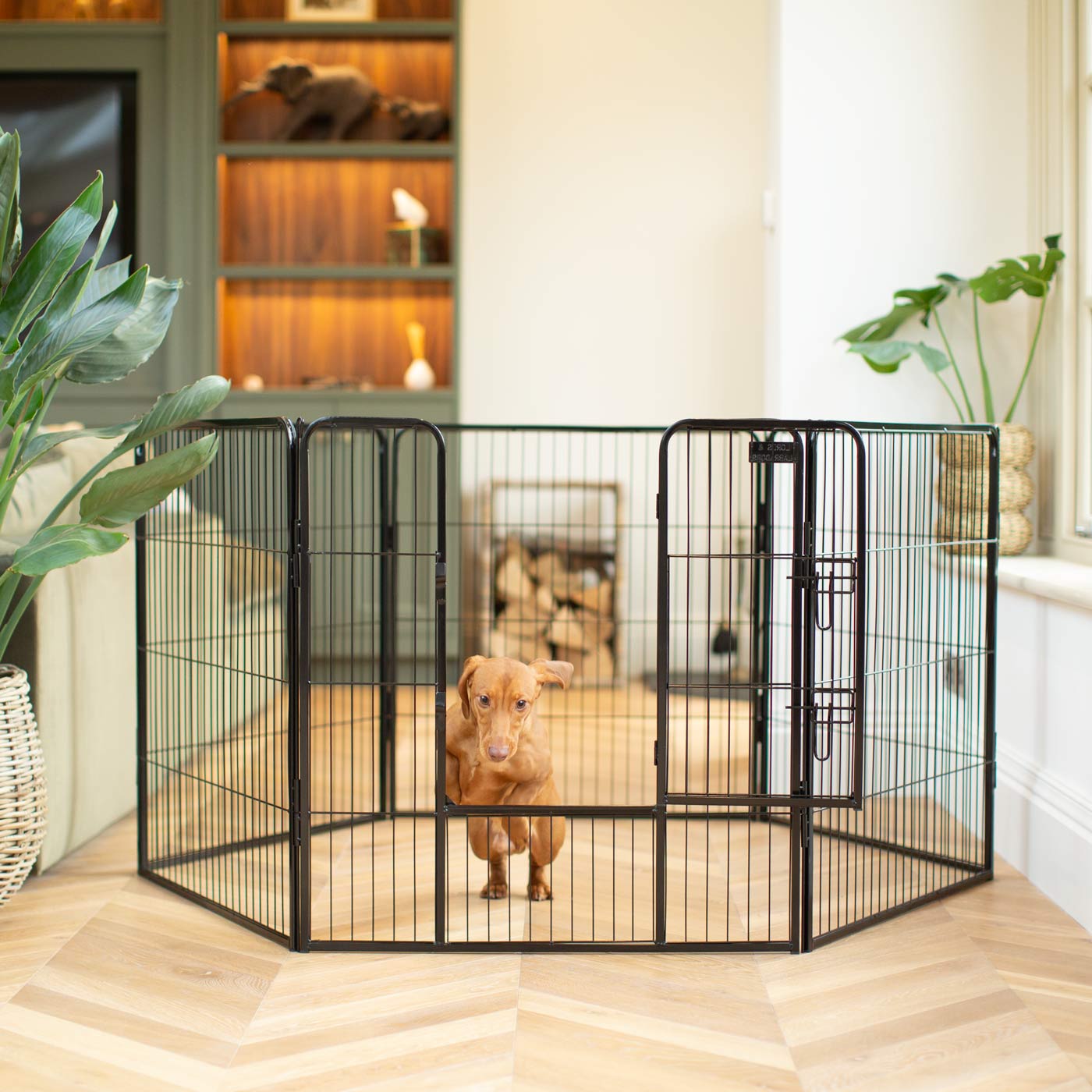Ensure The Ultimate Puppy Safety with Our Heavy Duty 80cm High Black Metal Play Pen, Crafted to Take Your Pet Right Through Maturity! Powder Coated to Be Extra Hardwearing! 6 panels that are 80cm high and attachments to connect to any crate. The modular system allows you to change the puppy pen shape with multiple layouts! Available To Now at Lords & Labradors