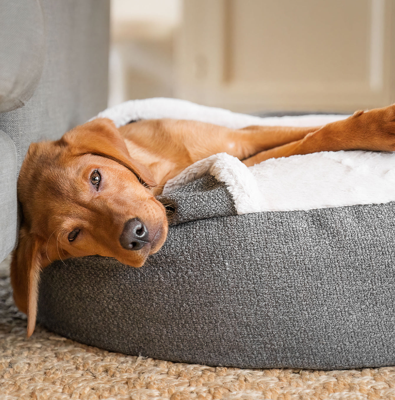 Discover This Luxurious Dog Den, Made Using Beautiful Herdwick Fabric To Craft The Perfect Den For Dogs! In Stunning Graphite, Available Now at Lords & Labradors