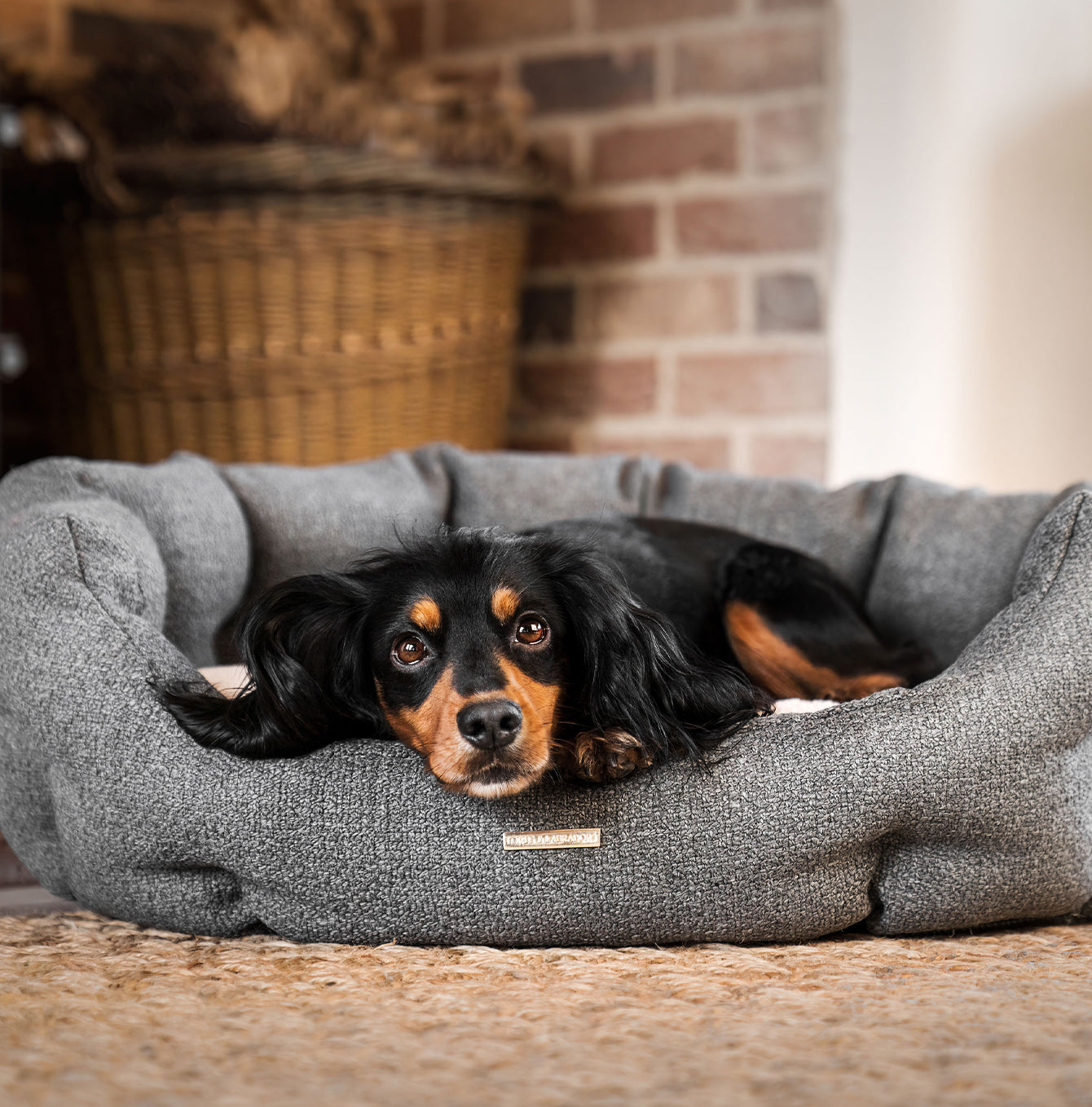 Discover our luxury Herdwick oval dog bed in beautiful graphite, the ideal choice for dogs to enjoy blissful nap-time, featuring reversible inner cushion with raised sides for dogs who love to rest their head for the ultimate cosiness! Handcrafted in Italy for pure pet luxury! Available now at Lords & Labradors
