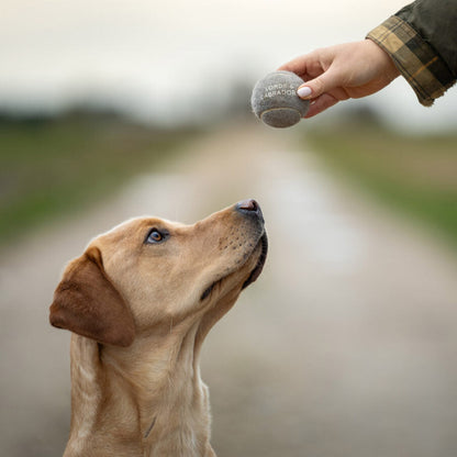 Super-Bouncy Tennis Balls For Dogs, 3 Pack of Tennis Dog Balls, Perfect For Outdoor Play! Available Now at Lords & Labradors