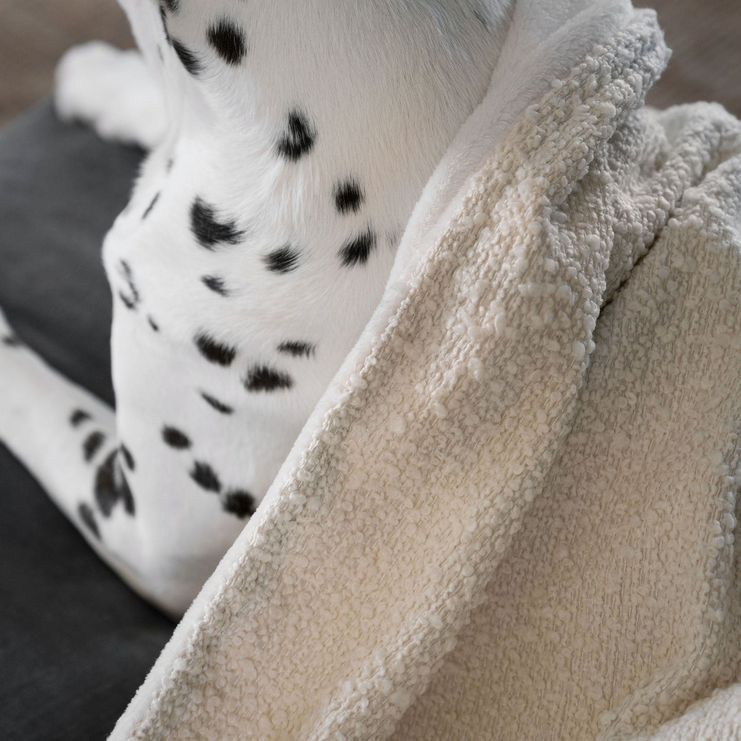 Discover Our Luxurious Dog Blanket In Luxury Ivory Bouclé Super Soft Sherpa & Teddy Fleece Lining, The Perfect Blanket For Puppies, Available To Personalise And In 2 Sizes Here at Lords & Labradors