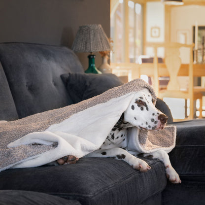 Discover Our Luxurious Dog Blanket In Luxury Mink Bouclé Super Soft Sherpa & Teddy Fleece Lining, The Perfect Blanket For Puppies, Available To Personalise And In 2 Sizes Here at Lords & Labradors