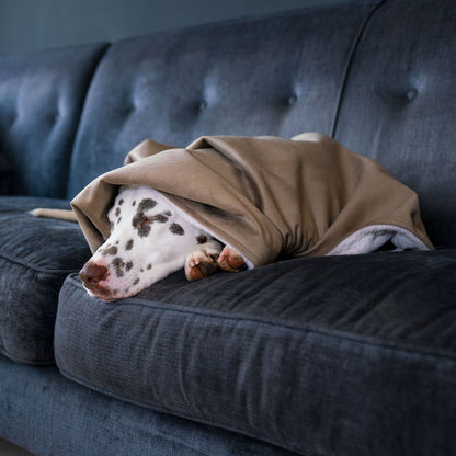 Dog & Puppy Blanket in Clay Velvet By Lords & Labradors