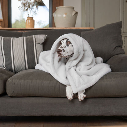  Discover Our Luxurious Anti-Anxiety Dog Blanket In Luxury Cream With Super Soft Plush & Short Faux Fur, The Perfect Blanket For Puppies, Available To Personalise And In 2 Sizes Here at Lords & Labradors