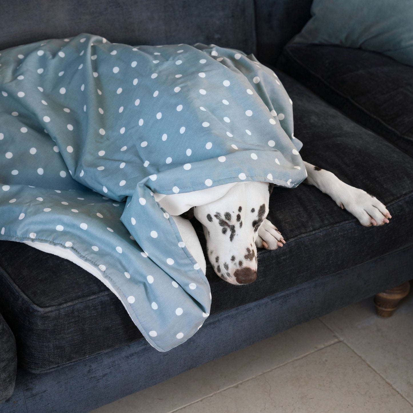  Discover Our Luxurious Dog Blanket In Stunning Duck Egg Spot, The Perfect Blanket For Puppies, Available To Personalise And In 2 Sizes Here at Lords & Labradors