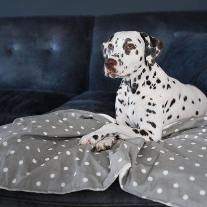  Discover Our Luxurious Dog Blanket In Stunning Grey Spot, The Perfect Blanket For Puppies, Available To Personalise And In 2 Sizes Here at Lords & Labradors