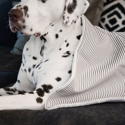  Discover Our Luxurious Dog Blanket In Stunning Regency Stripe, The Perfect Blanket For Puppies, Available To Personalise And In 2 Sizes Here at Lords & Labradors