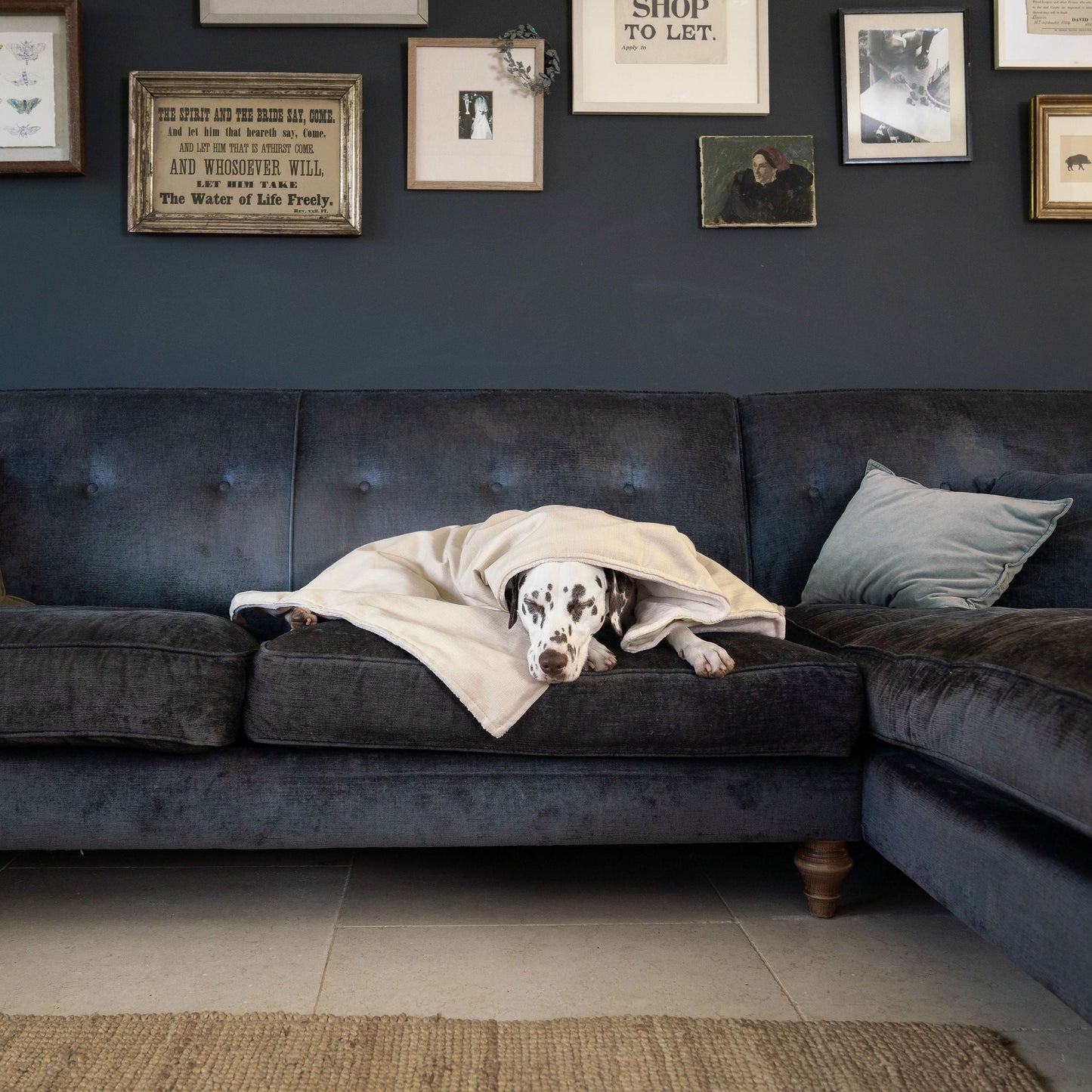  Discover Our Luxurious Savanna Bone Dog Blanket With Super Soft Sherpa & Teddy Fleece, The Perfect Blanket For Puppies, Available To Personalise And In 2 Sizes Here at Lords & Labradors