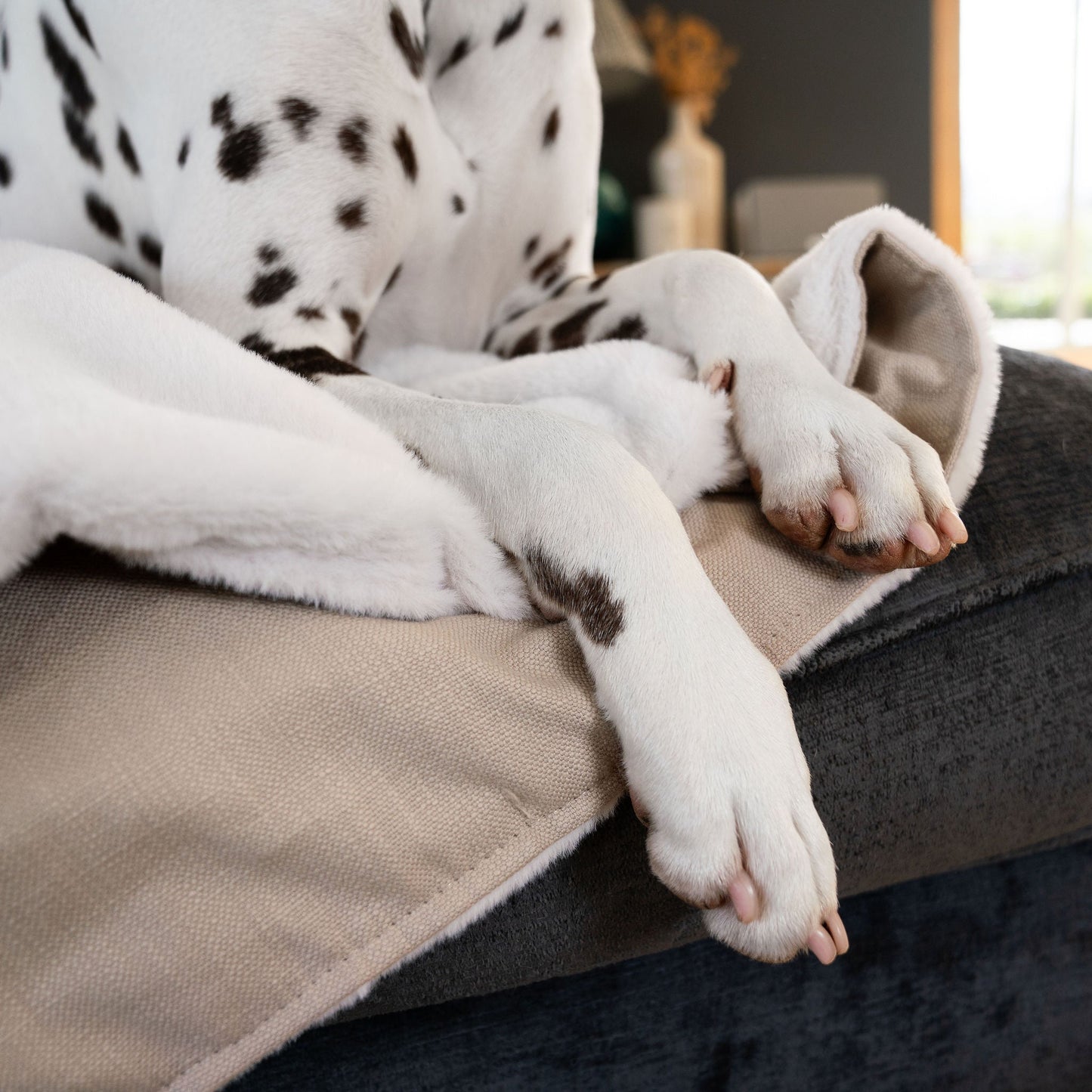  Discover Our Luxurious Savanna Oatmeal Dog Blanket With Super Soft Sherpa & Teddy Fleece, The Perfect Blanket For Puppies, Available To Personalise And In 2 Sizes Here at Lords & Labradors