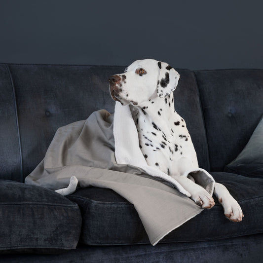  Discover Our Luxurious Savanna Stone Dog Blanket With Super Soft Sherpa & Teddy Fleece, The Perfect Blanket For Puppies, Available To Personalise And In 2 Sizes Here at Lords & Labradors