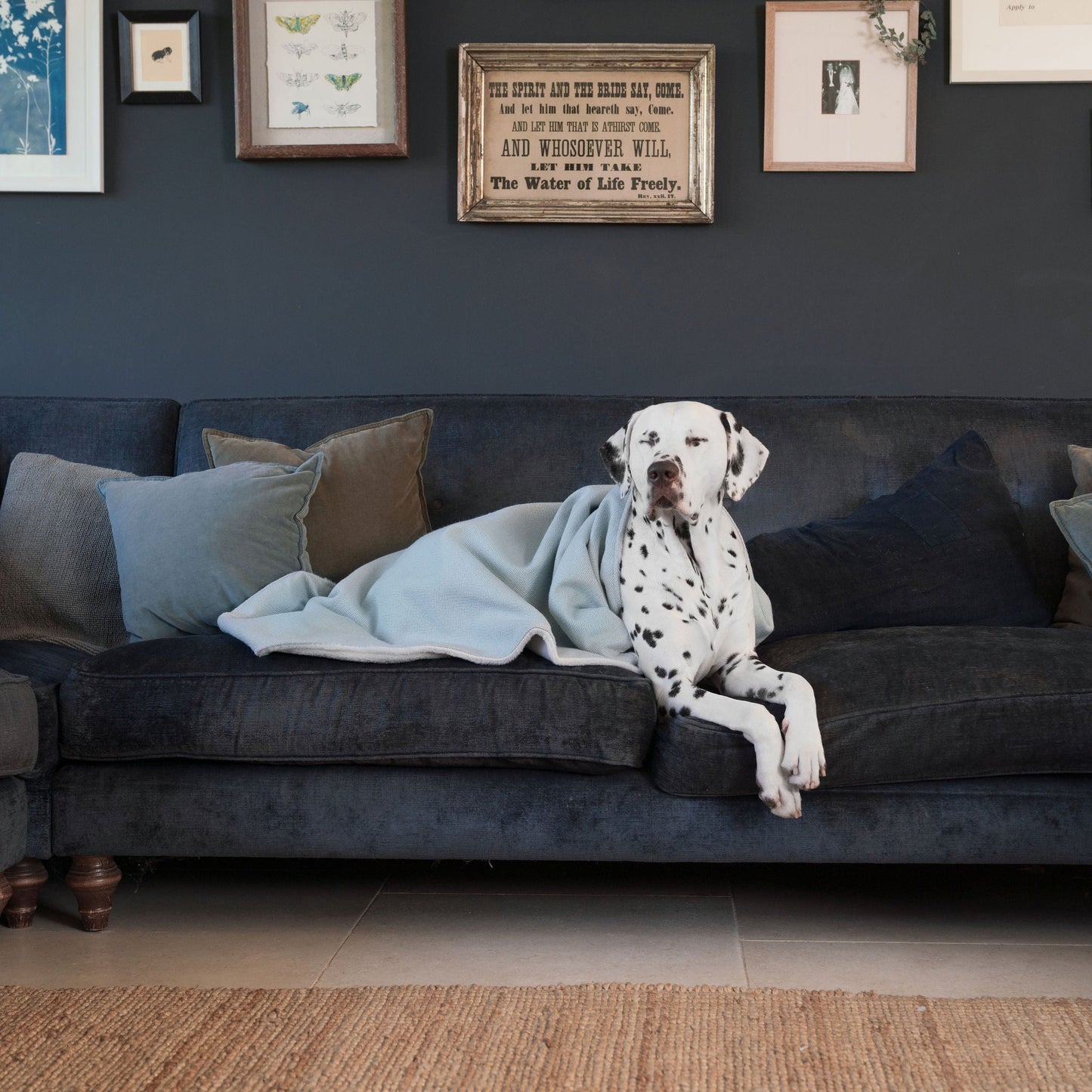 Discover Our Luxurious Duck Egg Herringbone Tweed Dog Blanket With Super Soft Sherpa & Teddy Fleece, The Perfect Blanket For Puppies, Available To Personalise And In 2 Sizes Here at Lords & Labradors