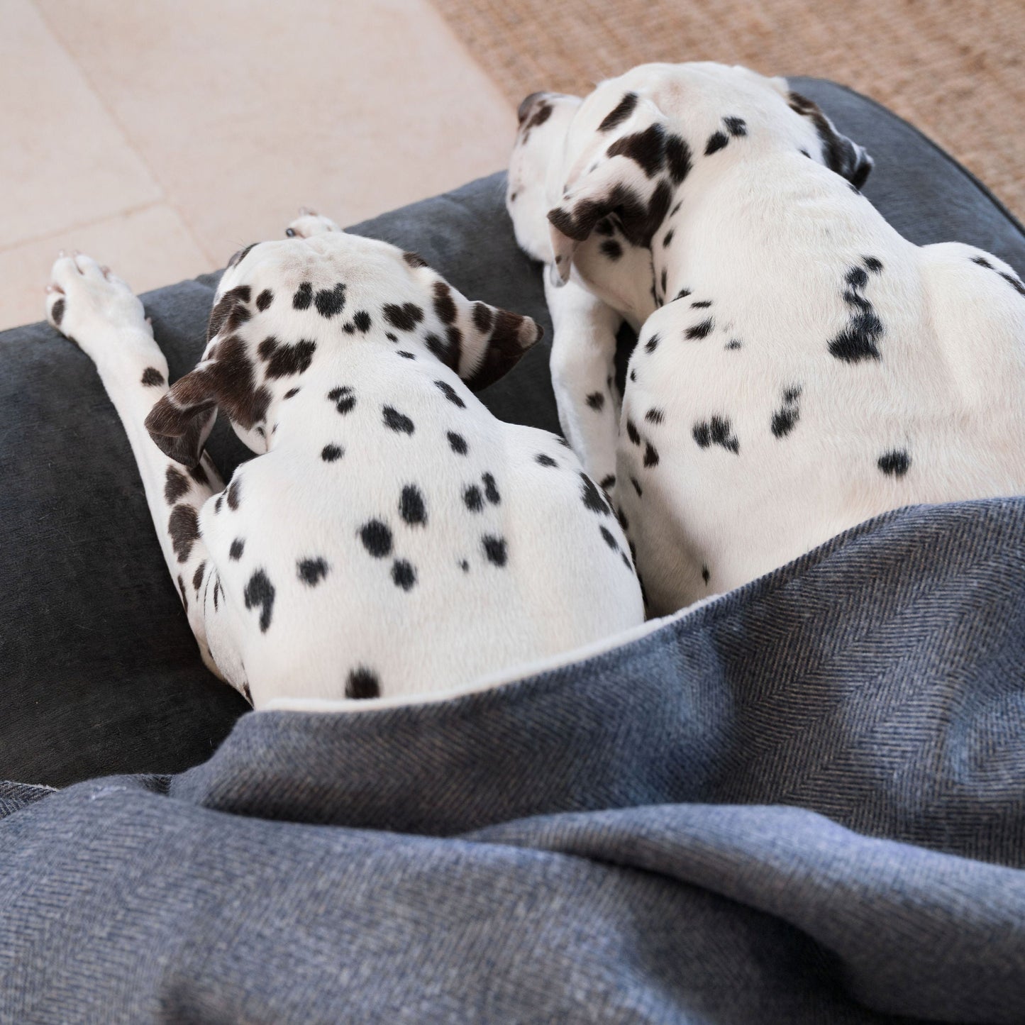 Discover Our Luxurious Oxford Herringbone Tweed Dog Blanket With Super Soft Sherpa & Teddy Fleece, The Perfect Blanket For Puppies, Available To Personalise And In 2 Sizes Here at Lords & Labradors