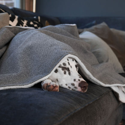 Discover Our Luxurious Pewter Herringbone Tweed Dog Blanket With Super Soft Sherpa & Teddy Fleece, The Perfect Blanket For Puppies, Available To Personalise And In 2 Sizes Here at Lords & Labradors