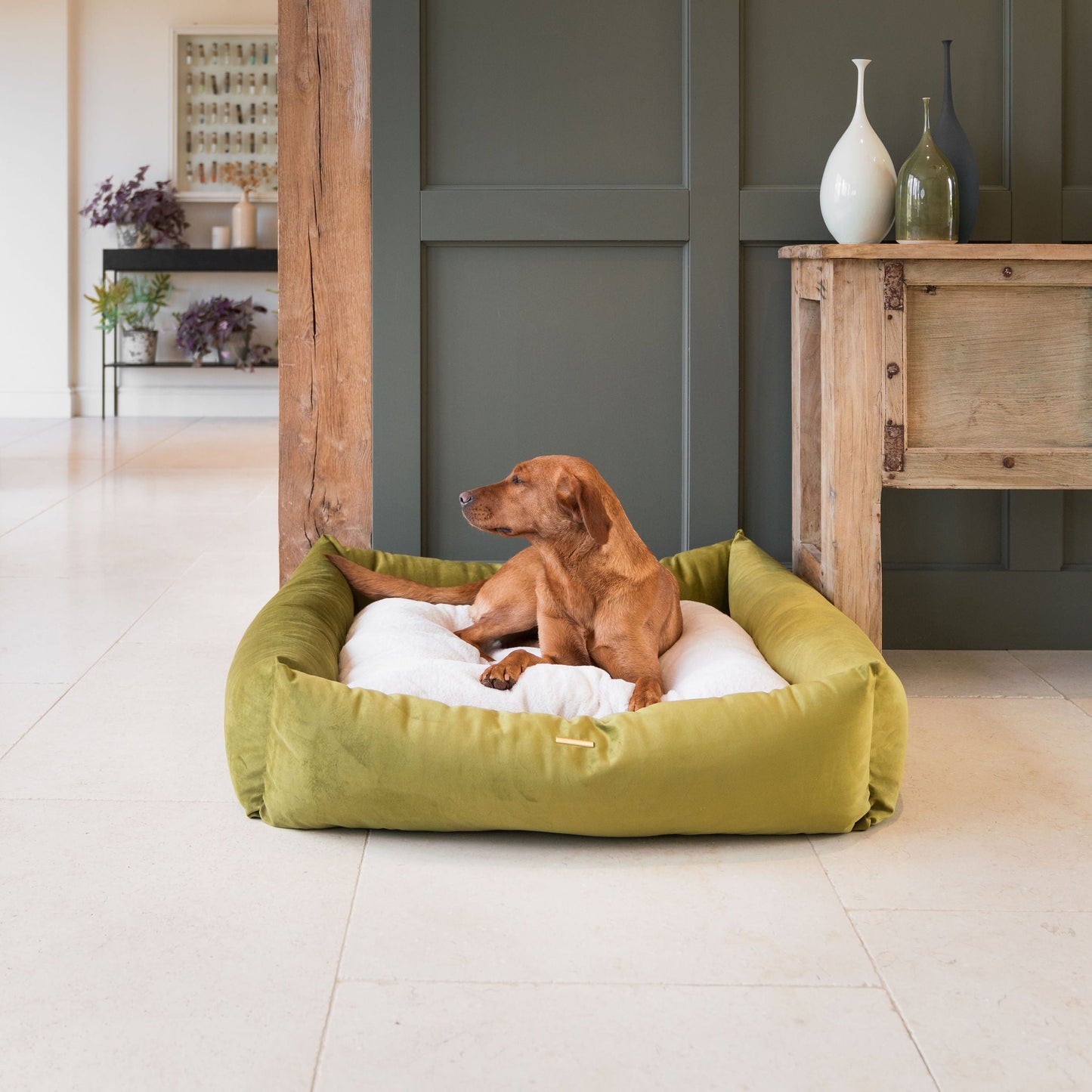 Box Bed For Dogs In Olive Velvet By Lords & Labradors