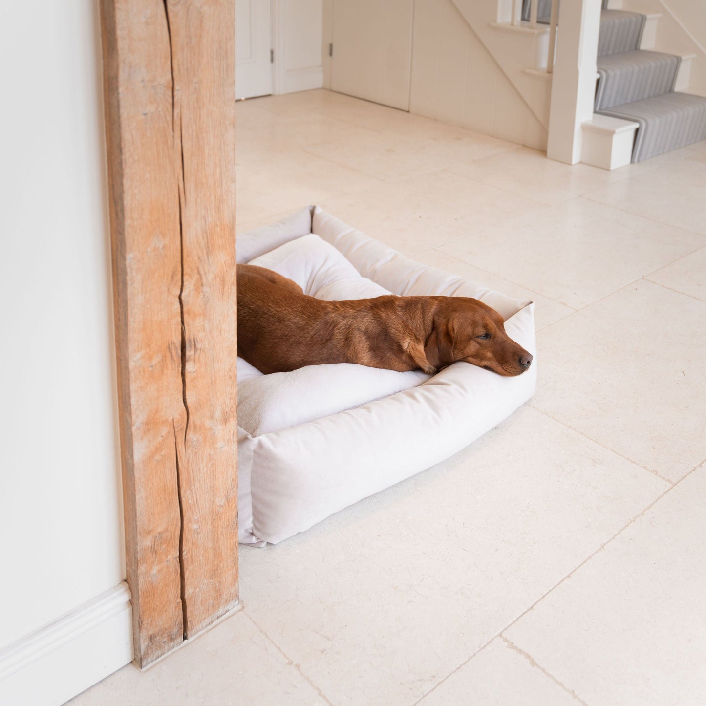 Box Bed For Dogs In Oyster Velvet By Lords & Labradors