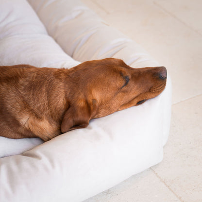 Box Bed For Dogs In Oyster Velvet By Lords & Labradors