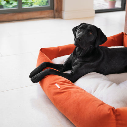 Box Bed For Dogs In Pumpkin Velvet By Lords & Labradors