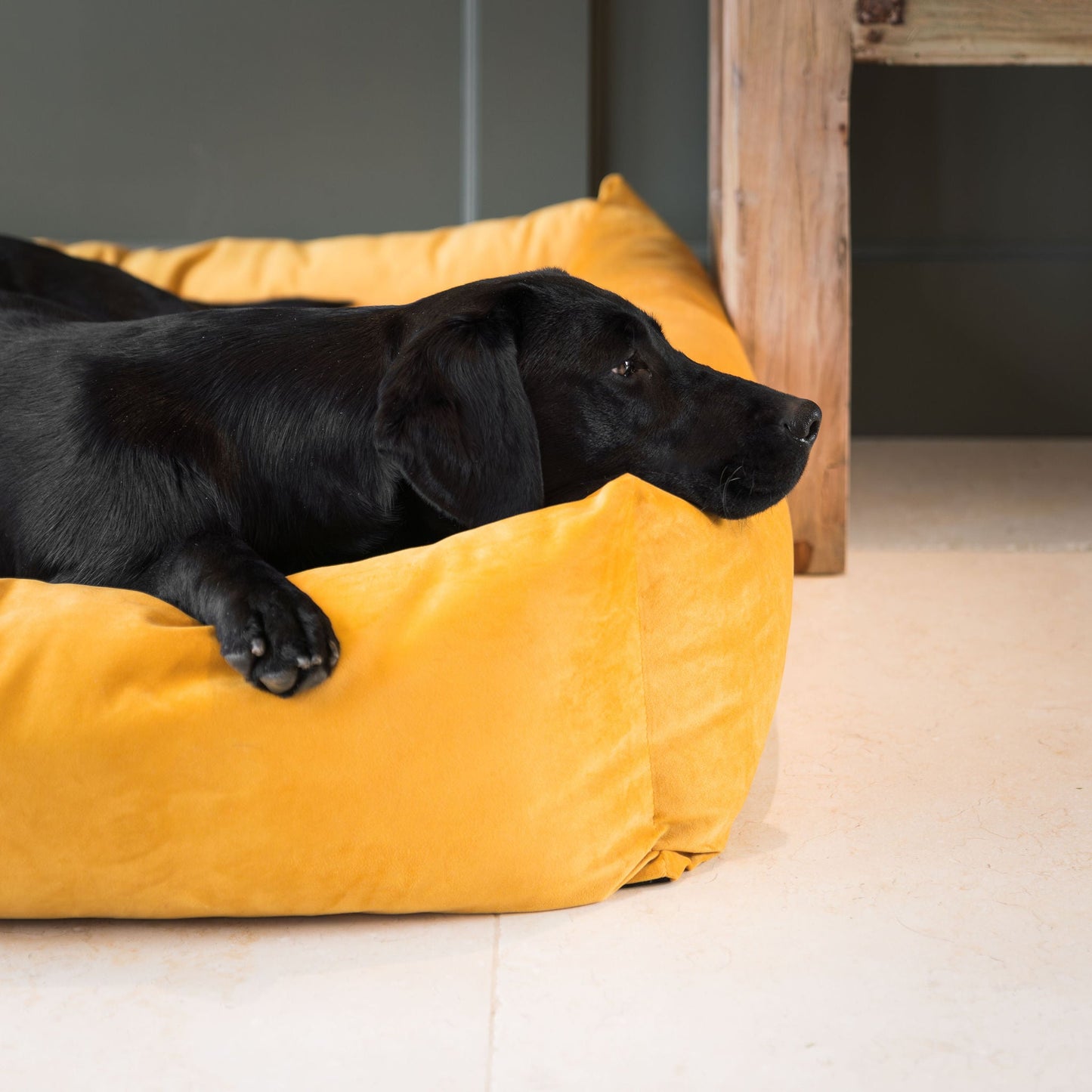 Box Bed For Dogs In Saffron Velvet By Lords & Labradors