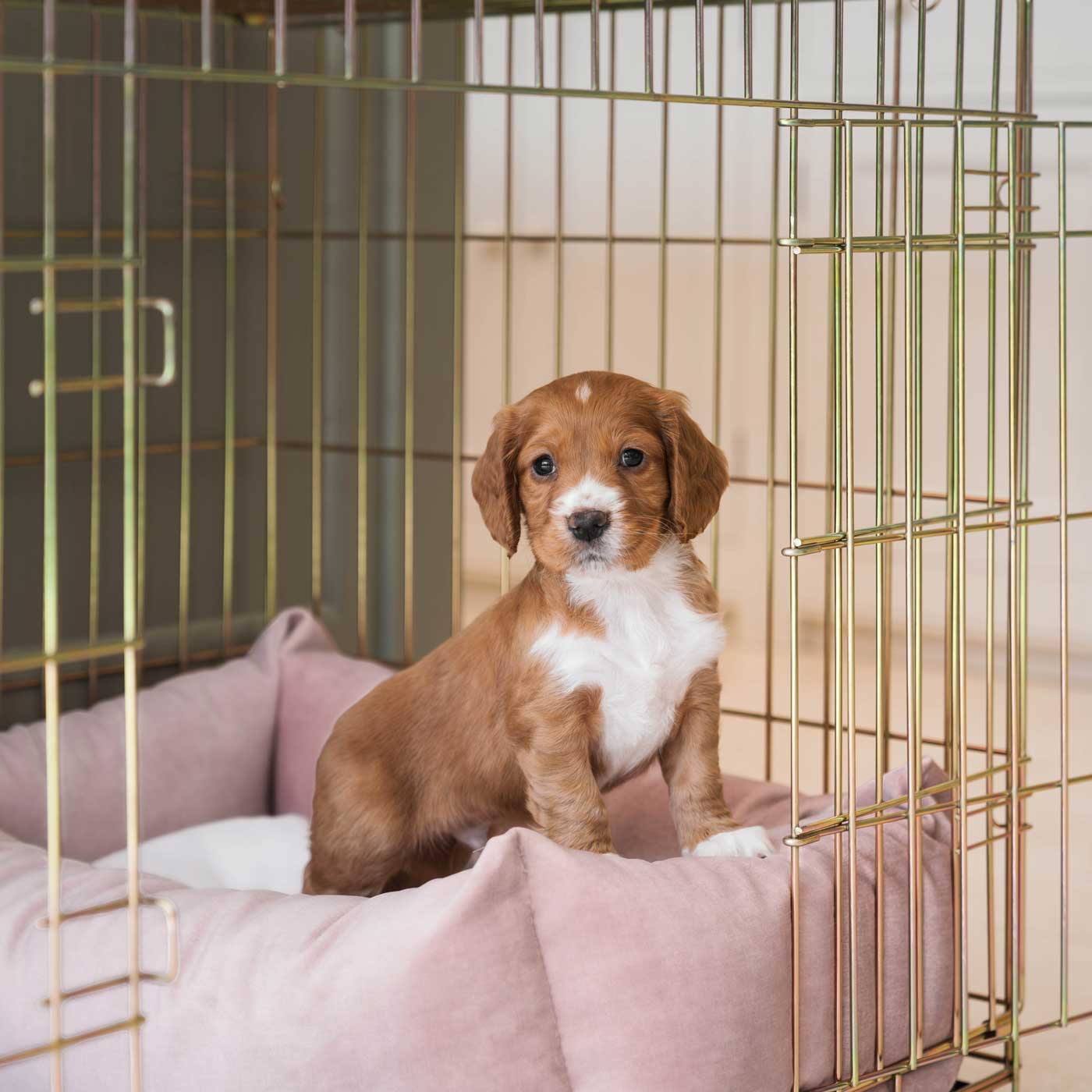 Cosy & Calming Puppy Crate Bed In Blossom Velvet By Lords & Labradors