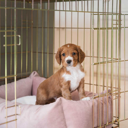 Cosy & Calming Puppy Crate Bed In Blossom Velvet By Lords & Labradors