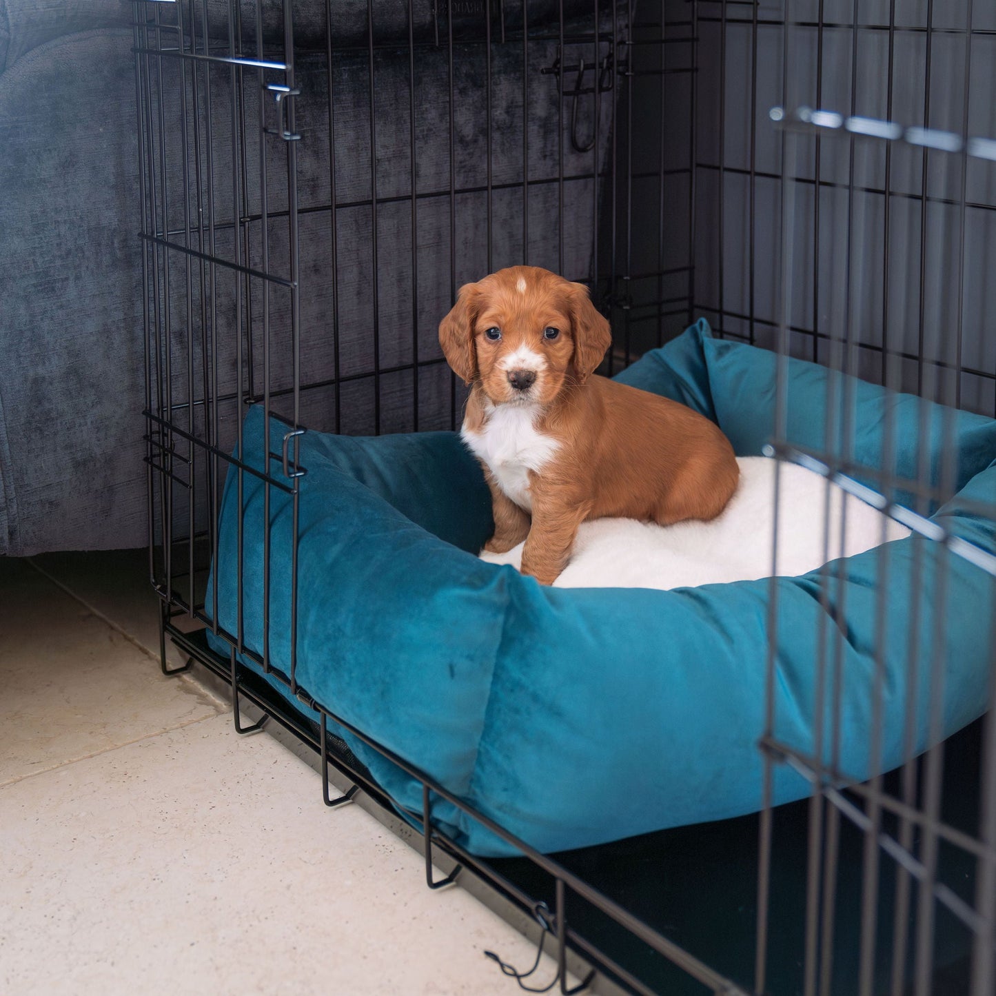 Cosy & Calming Puppy Crate Bed In Marine Velvet By Lords & Labradors