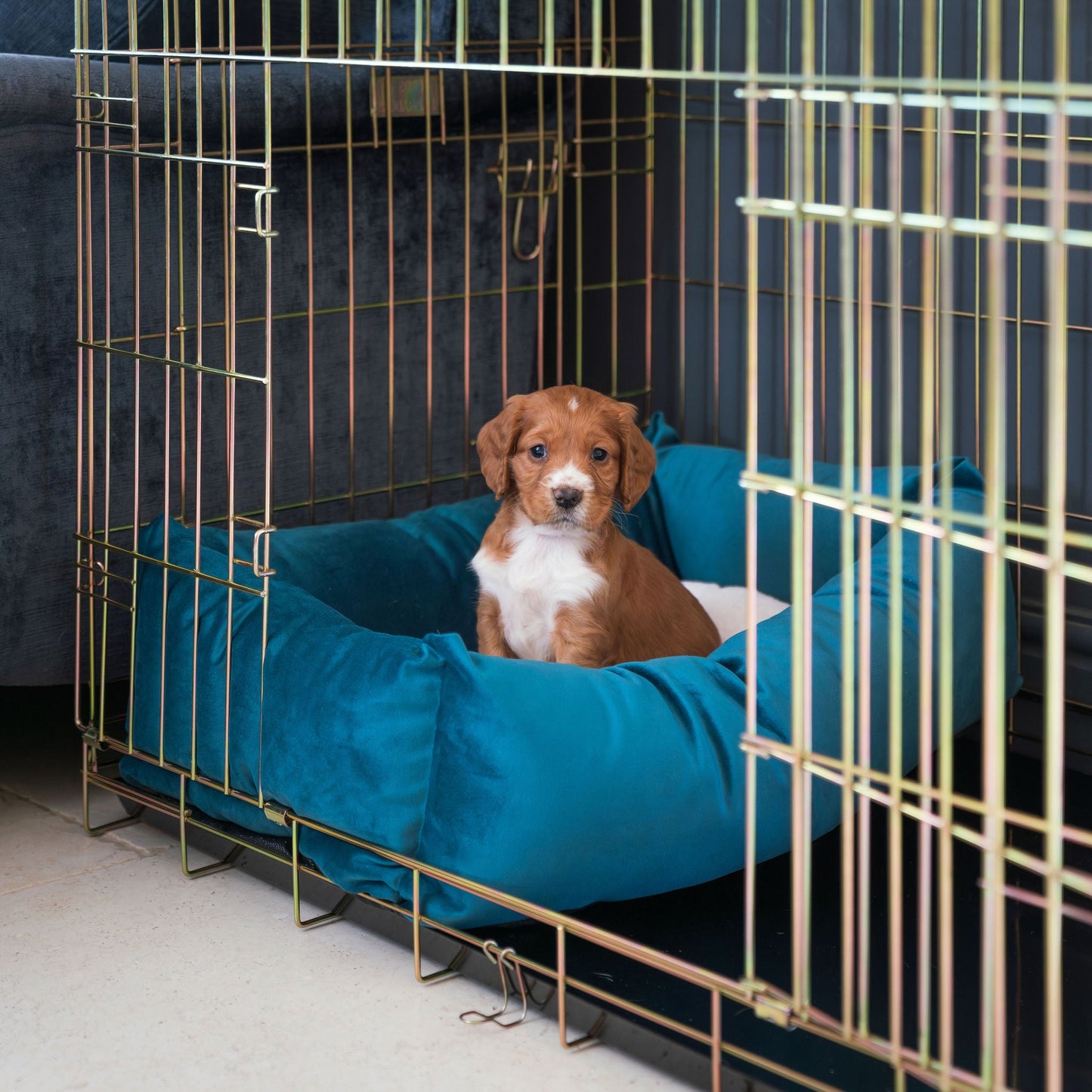 Cosy & Calming Puppy Crate Bed In Marine Velvet By Lords & Labradors