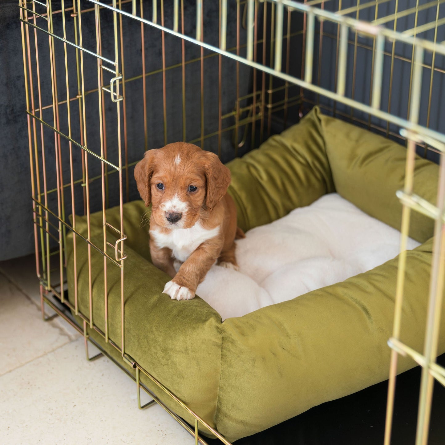 Cosy & Calming Puppy Crate Bed In Olive Velvet By Lords & Labradors