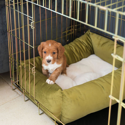 Cosy & Calming Puppy Crate Bed In Olive Velvet By Lords & Labradors