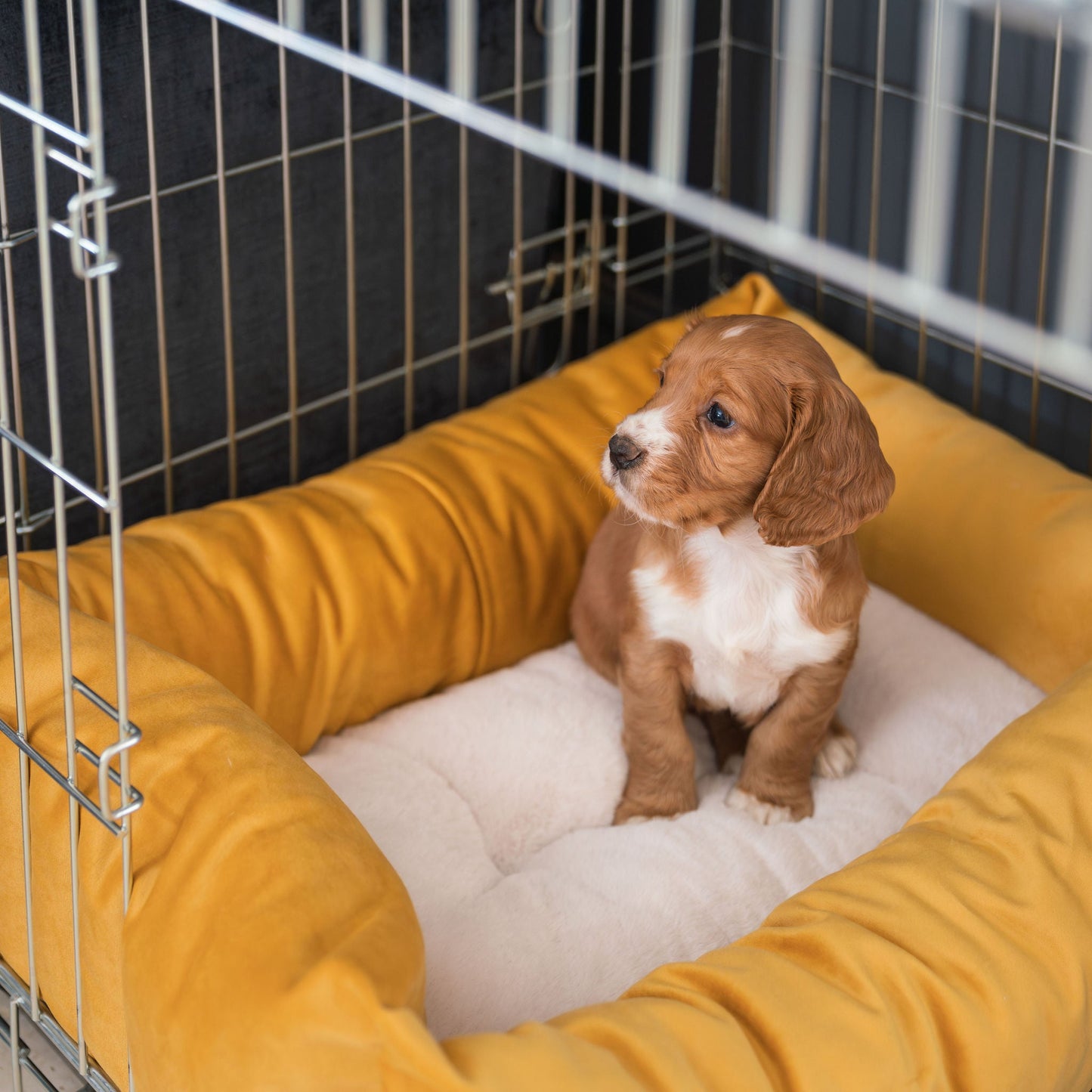 Cosy & Calming Puppy Crate Bed In Saffron Velvet By Lords & Labradors