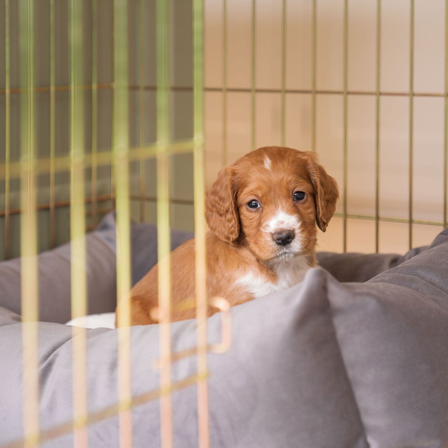 Cosy & Calming Puppy Crate Bed In Silt Velvet By Lords & Labradors