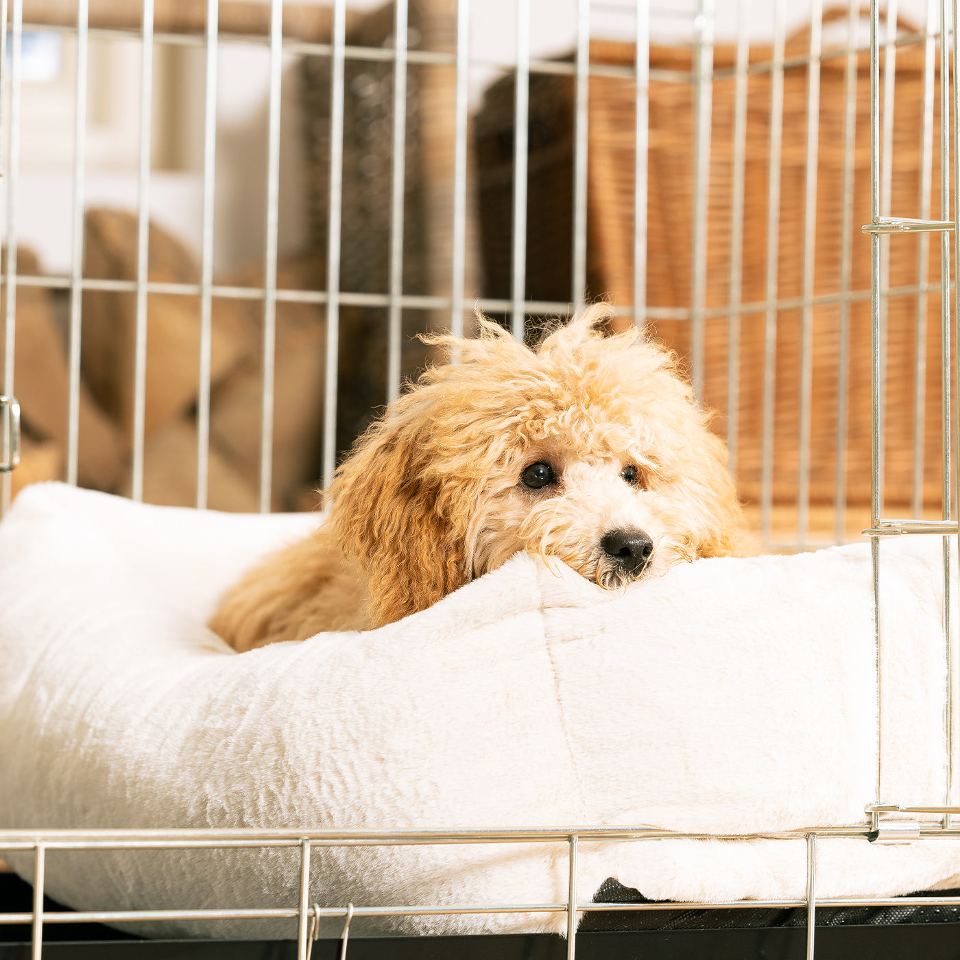 Cosy & Calm Puppy Crate Bed, The Perfect Dog Crate Accessory For The Ultimate Dog Den! In Stunning Cream Faux Fur! Available Now at Lords & Labradors