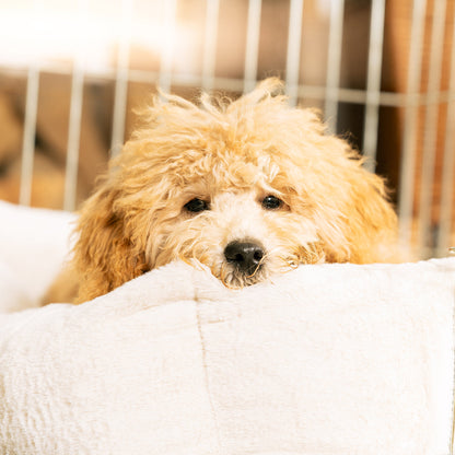 Cosy & Calm Puppy Crate Bed, The Perfect Dog Crate Accessory For The Ultimate Dog Den! In Stunning Cream Faux Fur! Available Now at Lords & Labradors