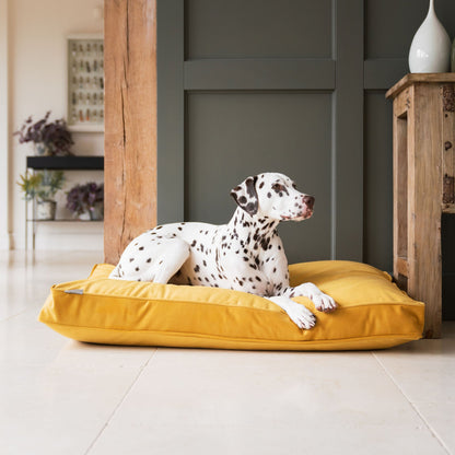 Dog Cushion in Saffron Velvet by Lords & Labradors