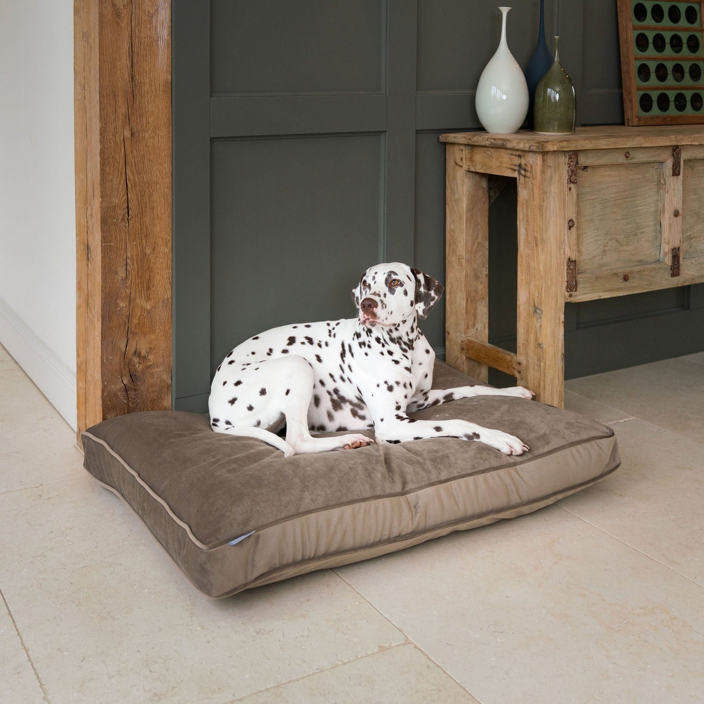 Dog Cushion in Clay Velvet by Lords & Labradors