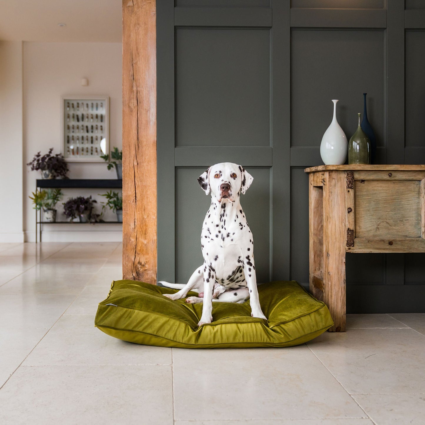 Dog Cushion in Olive Velvet by Lords & Labradors