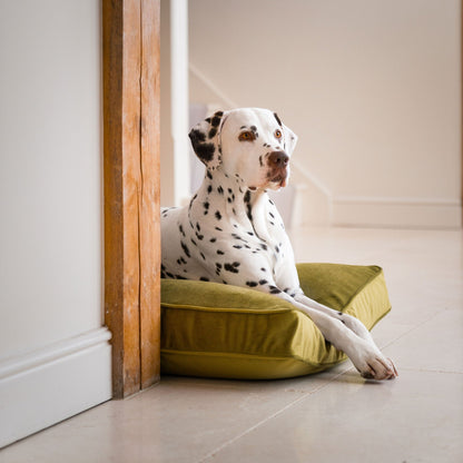 Dog Cushion in Olive Velvet by Lords & Labradors