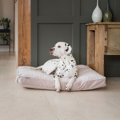 Dog Cushion in Oyster Velvet by Lords & Labradors