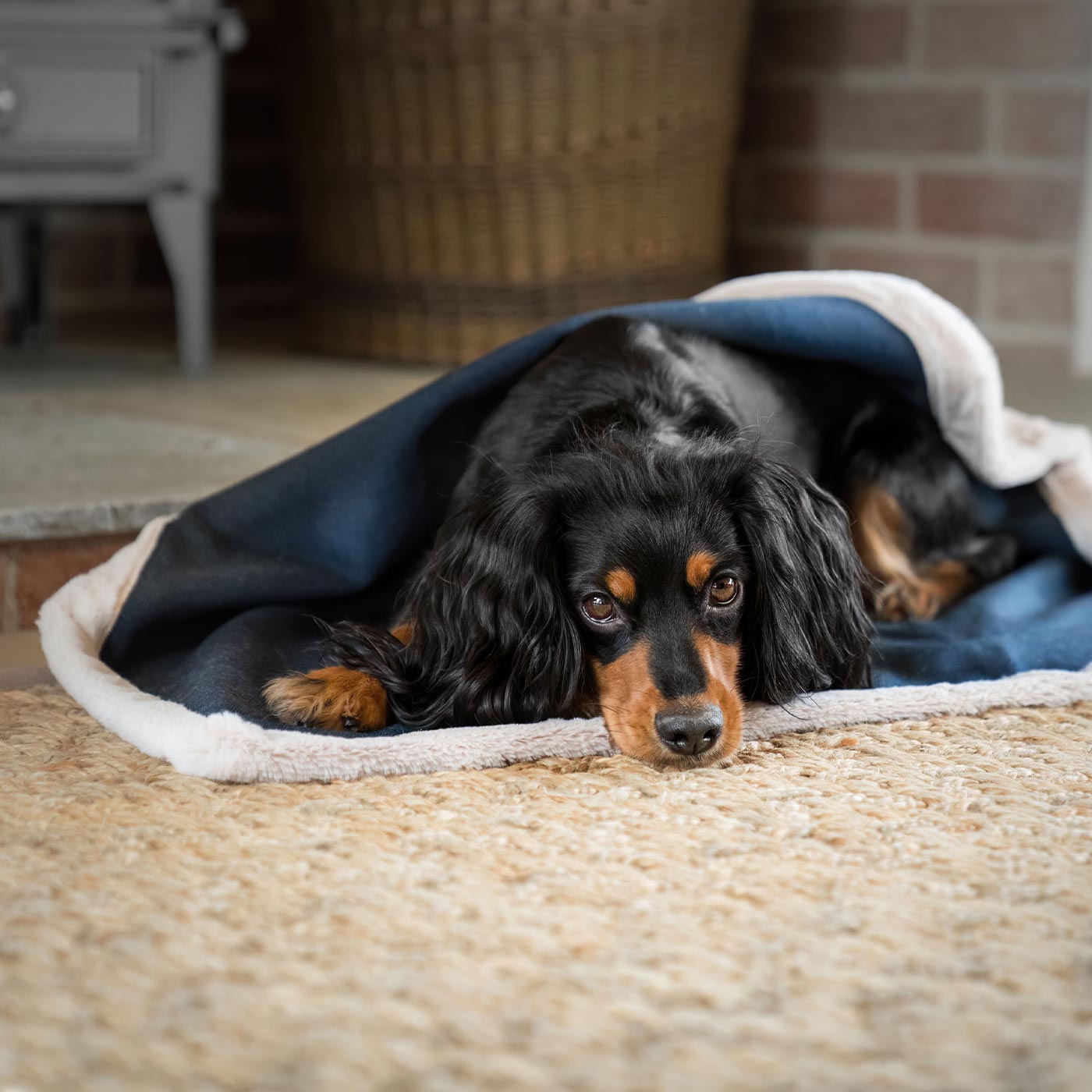 Present your furry friend with our luxuriously thick, plush blanket for your pet. Featuring a reverse side with hardwearing woven fabric handmade in Italy for the perfect high-quality pet blanket! Essentials Twill Blanket In Denim, Available now at Lords & Labradors    