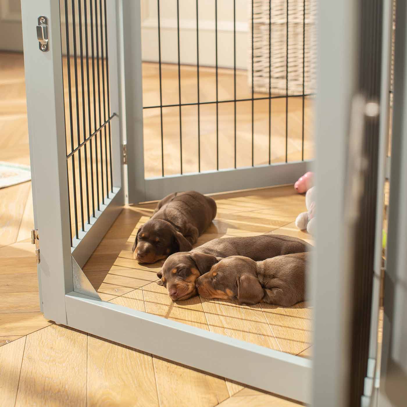 Ensure The Ultimate Puppy Safety with Our Heavy Duty Wooden Puppy Play Pen in Grey or white, Crafted to Take Your Pet Right Through Maturity! Powder Coated to Be Extra Hardwearing! 6 panels that are 80.5cm high! Available To Now at Lords & Labradors