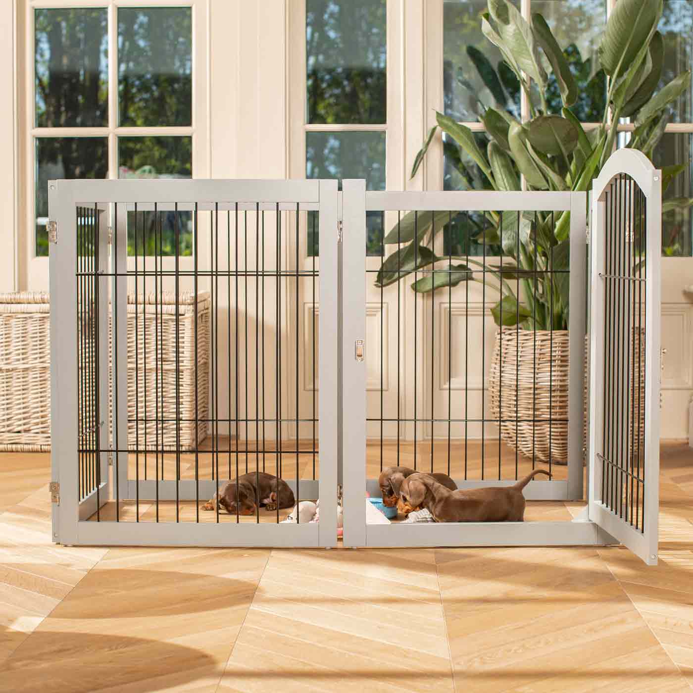 Ensure The Ultimate Puppy Safety with Our Heavy Duty Wooden Puppy Play Pen in Grey or white, Crafted to Take Your Pet Right Through Maturity! Powder Coated to Be Extra Hardwearing! 6 panels that are 80.5cm high! Available To Now at Lords & Labradors