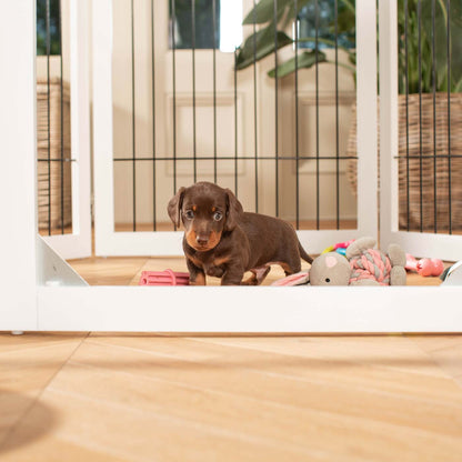 Ensure The Ultimate Puppy Safety with Our Heavy Duty Wooden Puppy Play Pen in Grey or white, Crafted to Take Your Pet Right Through Maturity! Powder Coated to Be Extra Hardwearing! 6 panels that are 80.5cm high! Available To Now at Lords & Labradors