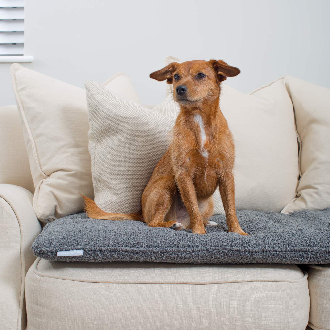 Discover Our Luxury Boucle sofa Topper, The Perfect Pet sofa Accessory In Stunning Granite! Available Now at Lords & Labradors