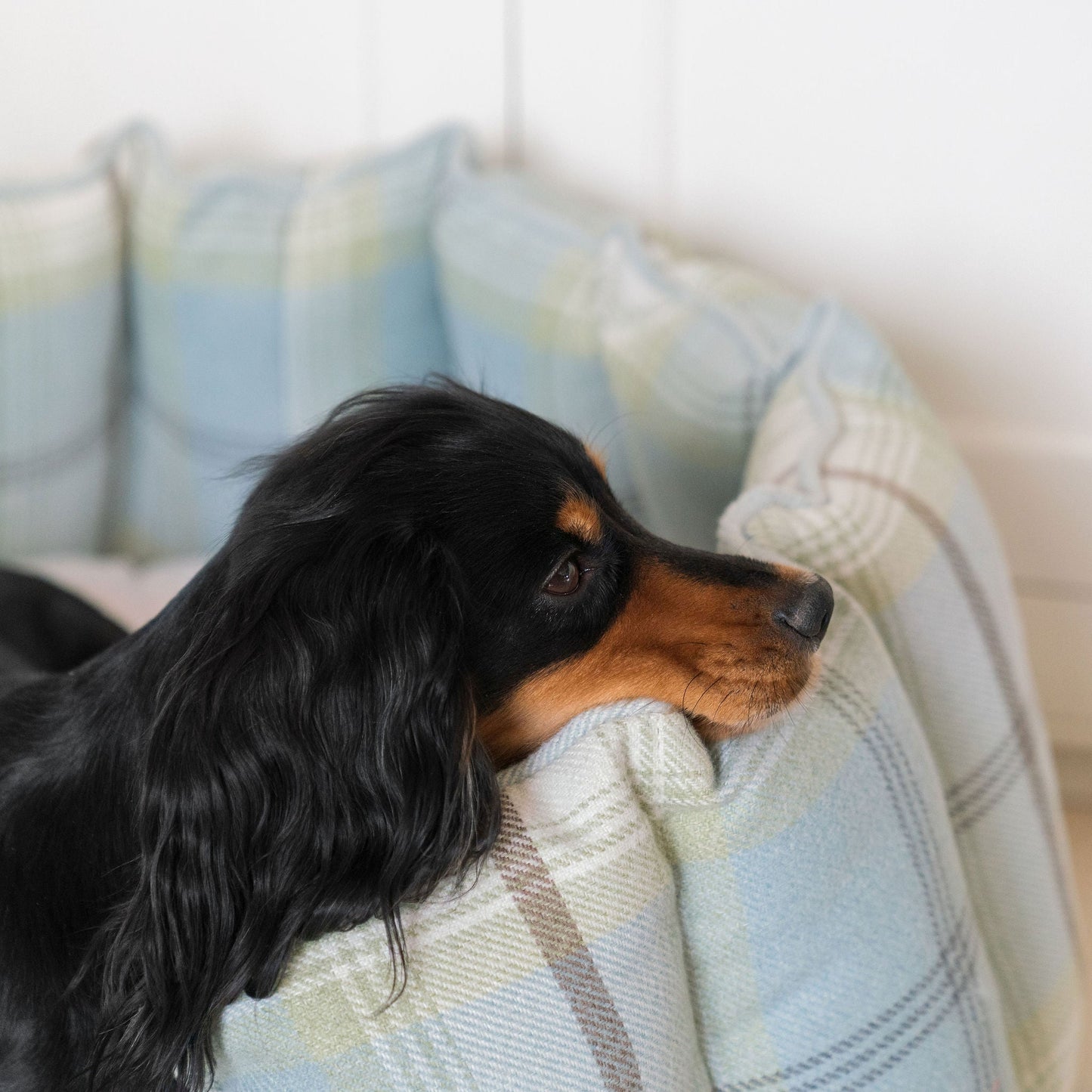 High Wall Bed For Dogs in Balmoral Duck Egg Tweed by Lords & Labradors