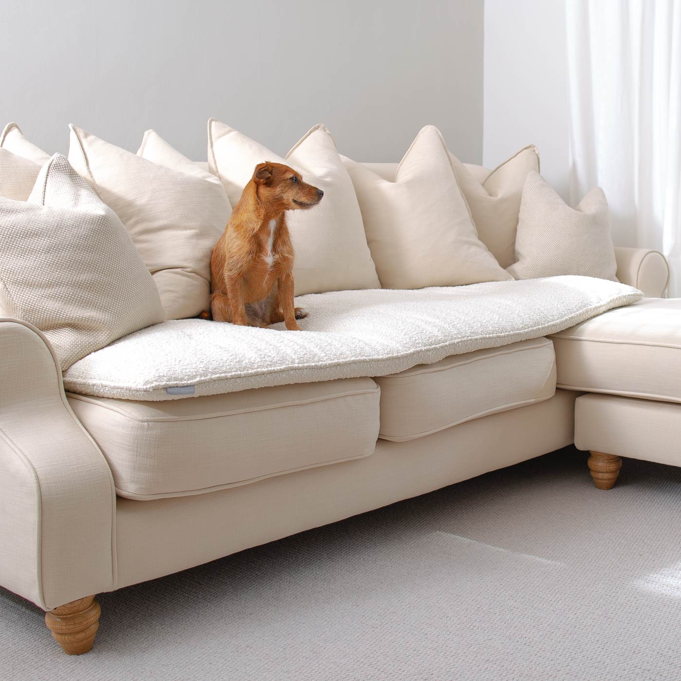 [colour:ivory boucle] Discover Our Luxury Boucle sofa Topper, The Perfect Pet sofa Accessory In Stunning Ivory! Available Now at Lords & Labradors