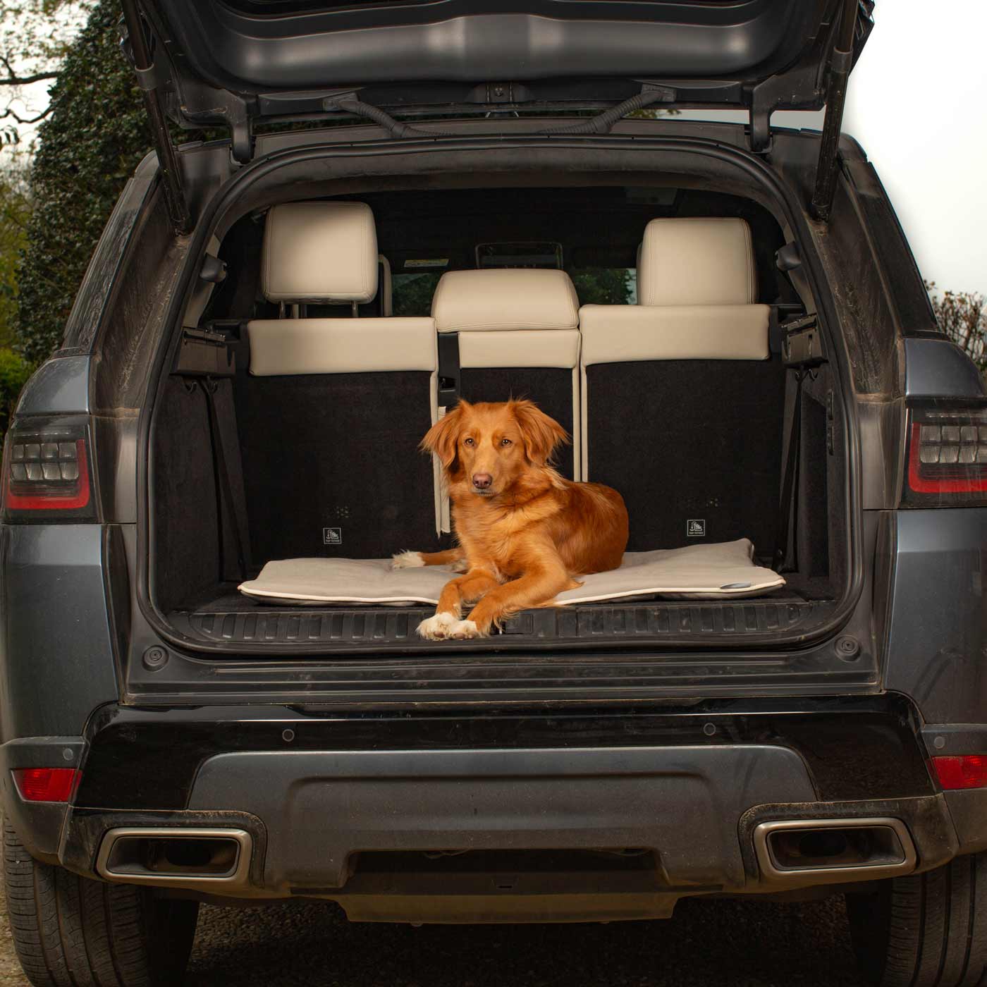 Embark on the perfect pet travel with our luxury Travel Mat in Savanna Stone! Featuring a Carry handle for on the move once Rolled up for easy storage, can be used as a seat cover, boot mat or travel bed! Available now at Lords & Labradors