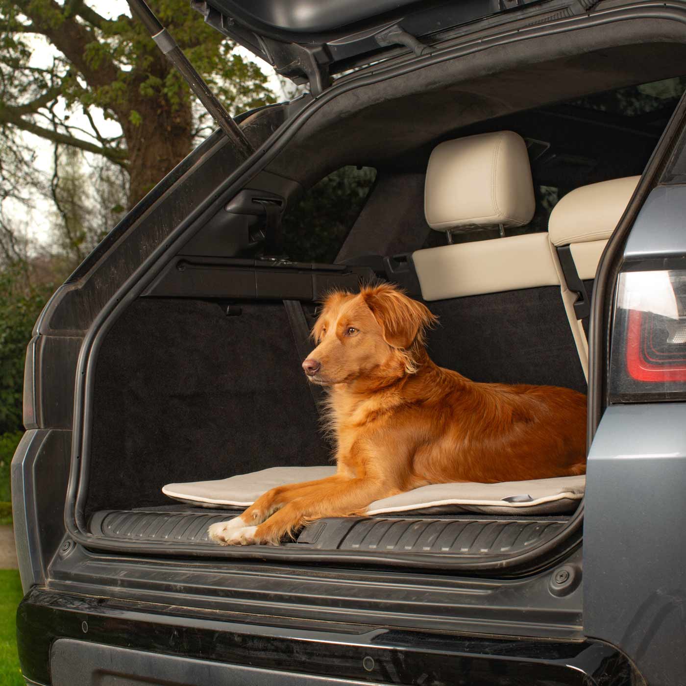 Embark on the perfect pet travel with our luxury Travel Mat in Savanna Stone! Featuring a Carry handle for on the move once Rolled up for easy storage, can be used as a seat cover, boot mat or travel bed! Available now at Lords & Labradors