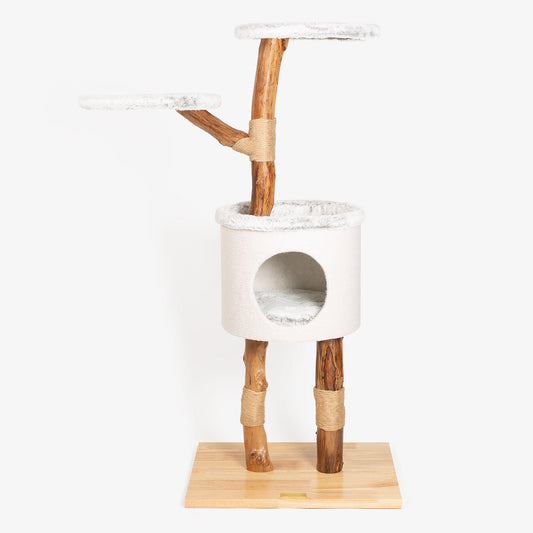 Back to Nature The High Rise Cat Scratch Post