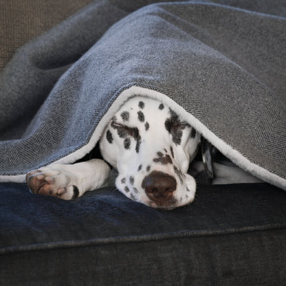 Discover Our Luxurious Pewter Herringbone Tweed Dog Blanket With Super Soft Sherpa & Teddy Fleece, The Perfect Blanket For Puppies, Available To Personalise And In 2 Sizes Here at Lords & Labradors